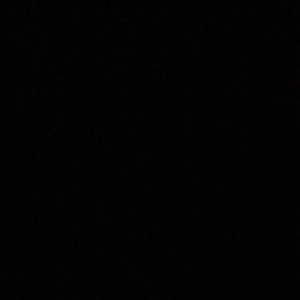 Meet your Posher, Charlotte